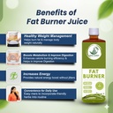 fat-burner-juice-1-litre-herbal-wellness-81dmfJHTxTL.jpg