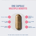 nature-thought-right-dose-ashwagandha-up-71fgcrmx-dL.jpg