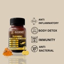turmeric-extract-tablets-by-alchemy-ayur-717DyEvJ32L.jpg