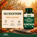 nutrabud-organics-sea-buckthorn-berry-po-81ktKzBnF3L.jpg
