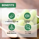 baidyanath-amla-aloe-vera-juice-combo-1l-61-VZ7IsR-L.jpg