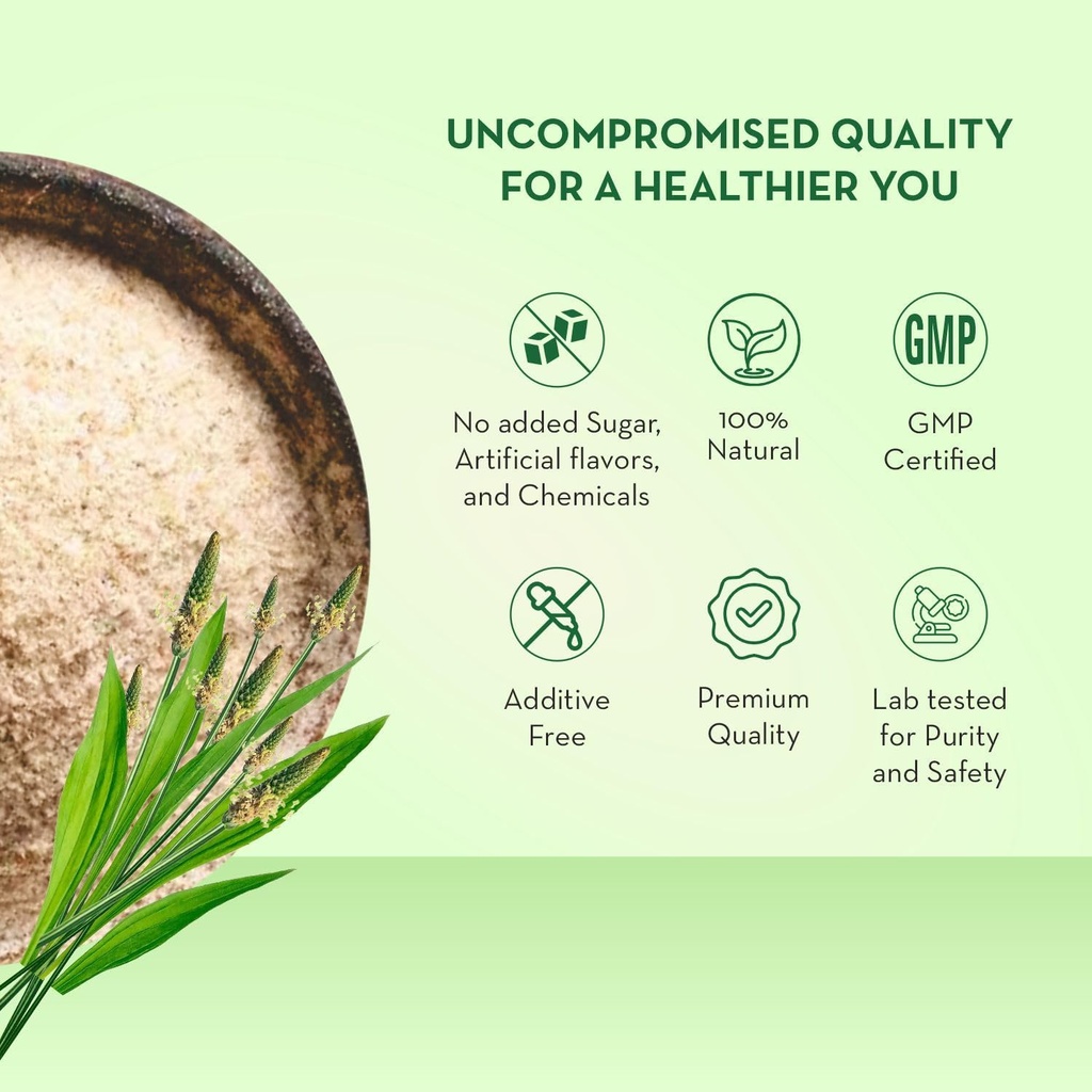 baidyanath-asli-ayurved-isabgol-psyllium-71mfrMcayyL.jpg