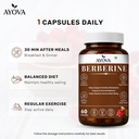 berberine-capsules-supports-blood-sugar--71H5IxOJ45L.jpg