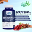 fitness-veda-berberine-hcl-1200mg-120-ca-81voxV5lwRL.jpg