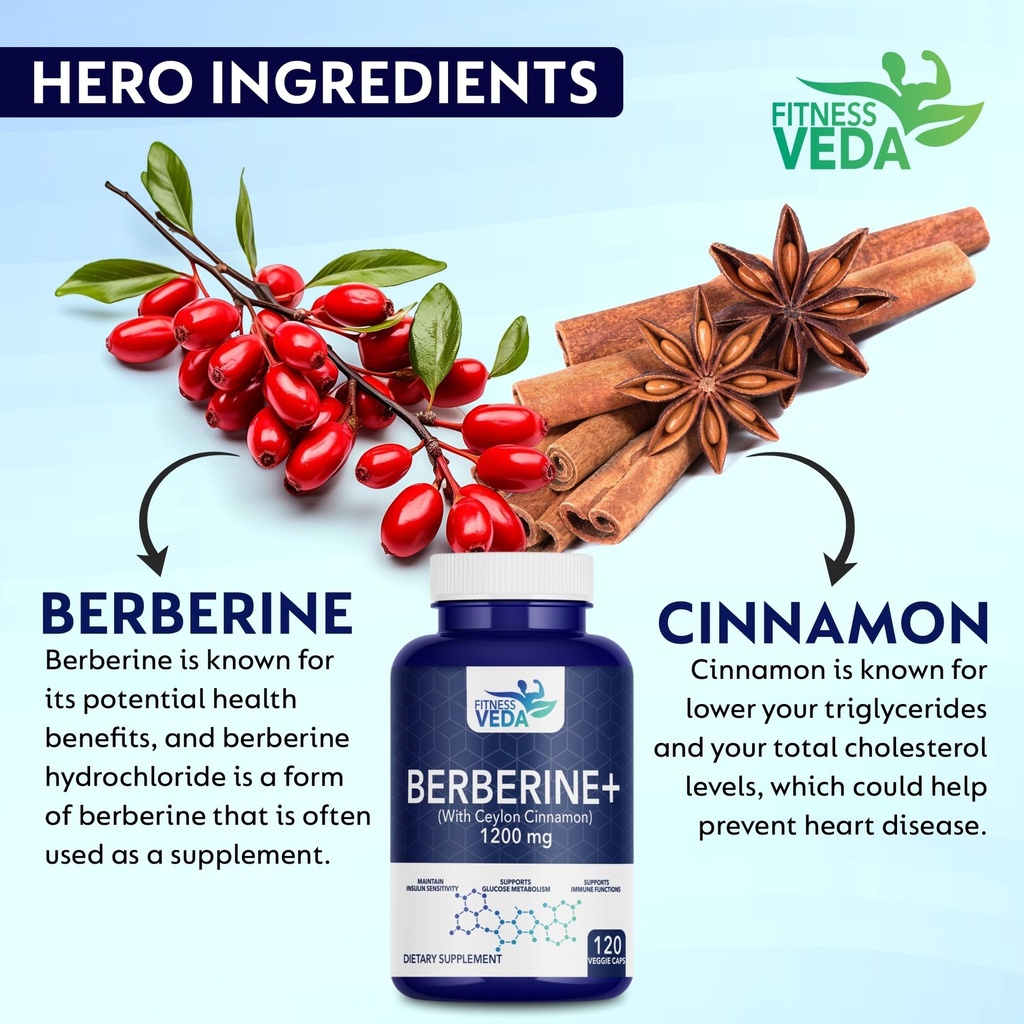fitness-veda-berberine-hcl-1200mg-120-ca-81XEeTPSZ9L.jpg