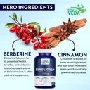 fitness-veda-berberine-hcl-1200mg-120-ca-81XEeTPSZ9L.jpg