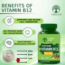 vruksha-vitals-vitamin-b12-100-rda-lab-t-71DTUa5-stL.jpg
