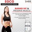 vokin-biotech-egcg-from-green-tea-leaf-e-61IPYlb3Y0L.jpg