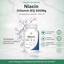 healthy-nutrition-niacin-vitamin-b3-500m-71jpFJgyzbL.jpg