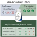 healthy-nutrition-niacin-vitamin-b3-500m-71DrtElEuOL.jpg