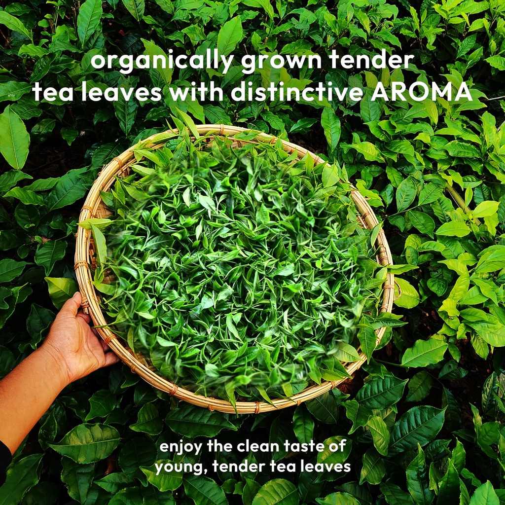 woolah-green-tea-assortment-pack-organic-9106VLOg9HL.jpg
