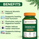 pure-nutrition-dandelion-root-extract-mi-816KW7wpqQL.jpg