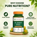 pure-nutrition-st-john-s-wort-extract-50-71IZPetJ8pL.jpg