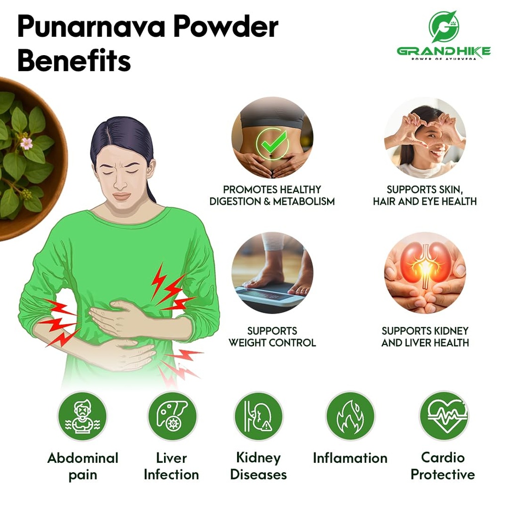 grandhike-power-of-ayurveda-natural-deto-61AEw-DIRtL.jpg