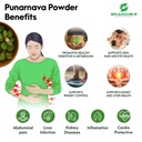 grandhike-power-of-ayurveda-natural-deto-61AEw-DIRtL.jpg