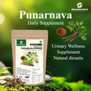 grandhike-power-of-ayurveda-natural-deto-61ots4k1EUL.jpg