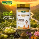 jeena-sikho-acharya-manish-ji-lvr-gut-de-91f7wzKBzPL.jpg