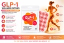 zarini-wellness-patches-30-count-metabol-71MhEtb6VEL.jpg