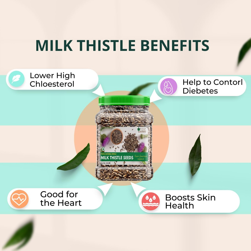 bliss-of-earth-500gm-milk-thistle-seeds--61PKntGlyyL.jpg