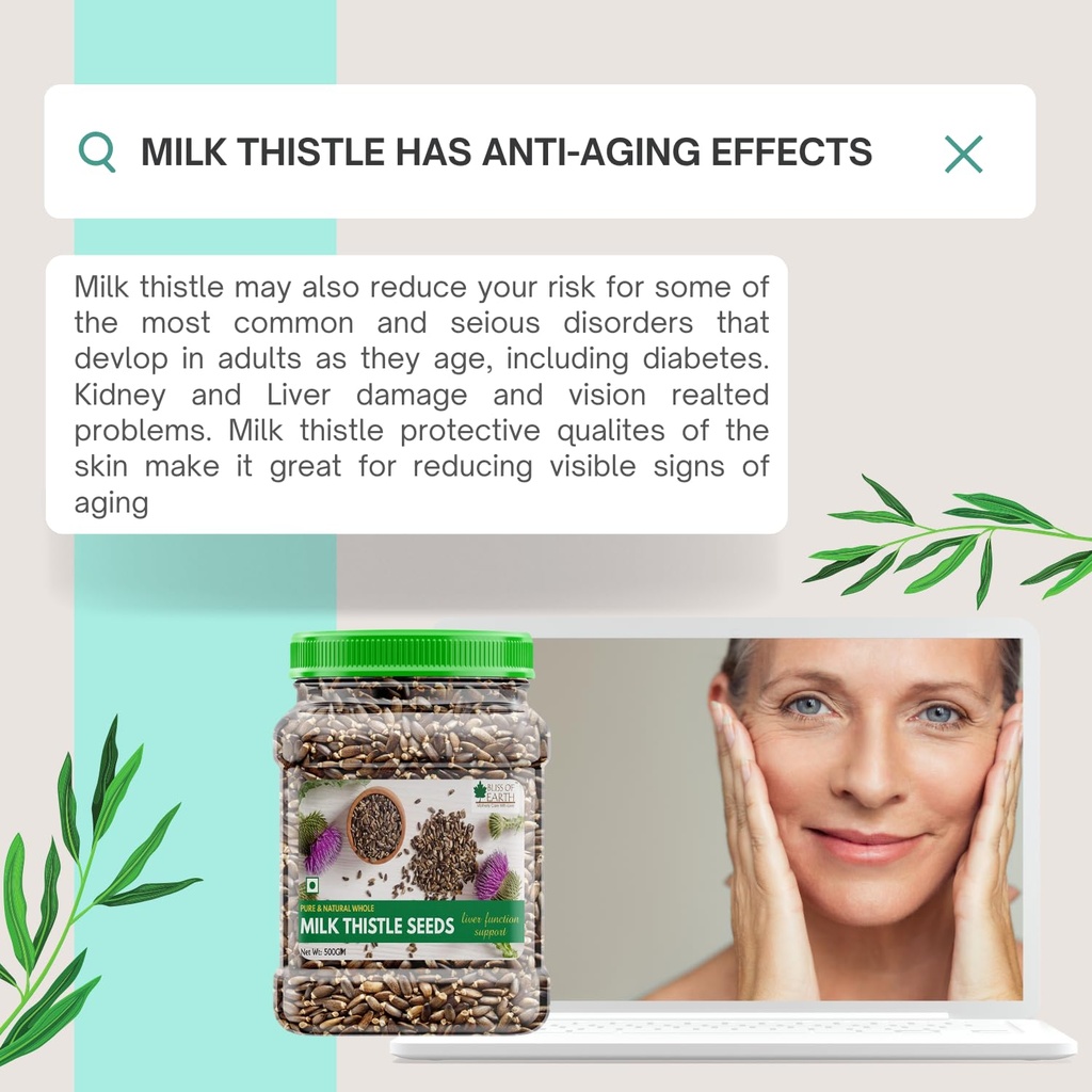 bliss-of-earth-500gm-milk-thistle-seeds--71h7nRxISBL.jpg