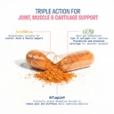 nature-thought-triple-action-joint-formu-71oBTspq6KL.jpg