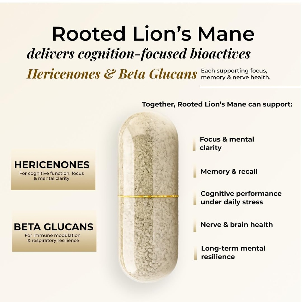 rooted-active-s-lion-s-mane-mushroom-for-61AFJH7SQqL.jpg