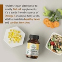 organic-india-flaxseed-oil-60-capsules-p-61RpPtRIZzL.jpg