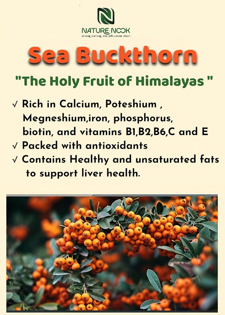 himalayan-sea-buckthorn-powder-100gm-ant-81kNHcMrDnL.jpg