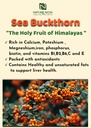 himalayan-sea-buckthorn-powder-100gm-ant-81kNHcMrDnL.jpg