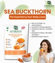 himalayan-sea-buckthorn-powder-100gm-ant-618kFYr0F7L.jpg