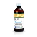 aathithya-herbal-biozen-syrup-ayurvedic--51TcZMk23uL.jpg