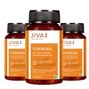 jiva-turmeric-capsules-100-ayurvedic-for-61ffFOHKiZL.jpg