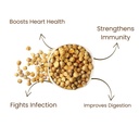 herbalprash-kashmiri-garlic-lahsun-100g--51H2HldoAXL.jpg