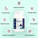 daily-multivitamin-with-ginseng-lycopene-71wavkeBRcL.jpg