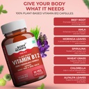 the-body-reserve-plant-based-vitamin-b12-71MZV73IItL.jpg