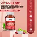 the-body-reserve-plant-based-vitamin-b12-71wtA6pCoPL.jpg