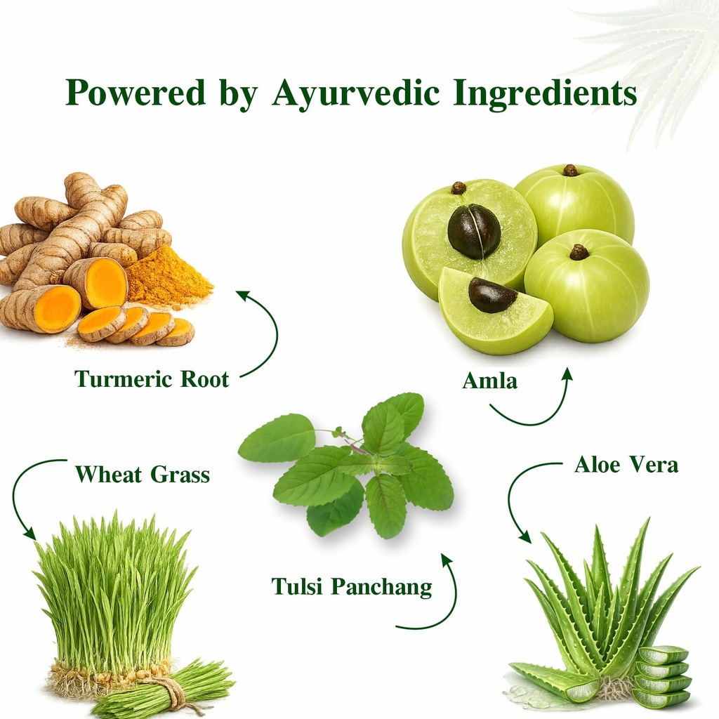 axiom-aloevera-amla-juice-1l-pack-of-2-b-71phRv75YGL.jpg