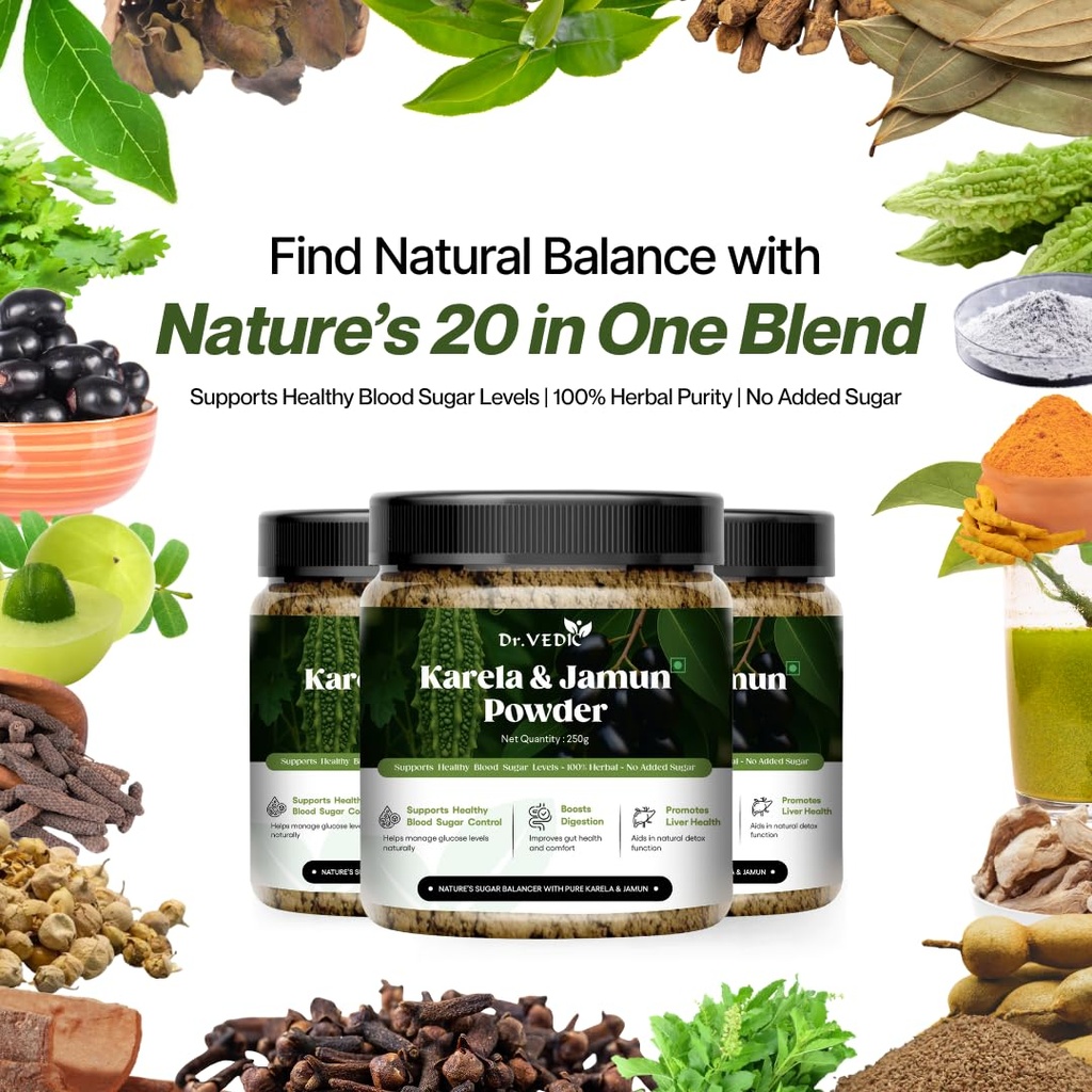 dr-vedic-karela-jamun-powder-with-gudmar-710nYJE0AUL.jpg