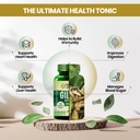 vlado-s-himalayan-organics-giloy-extract-61gZTjPZ5QL.jpg