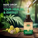 apollo-noni-enzyme-drops-extract-bio-act-715vsIRVnUL.jpg