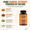guggul-extract-500mg-suddha-medohar-gugg-715AD82wZgL.jpg