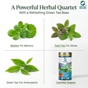 organic-wellness-certified-tulsi-brahmi--71iyV+kAlUL.jpg
