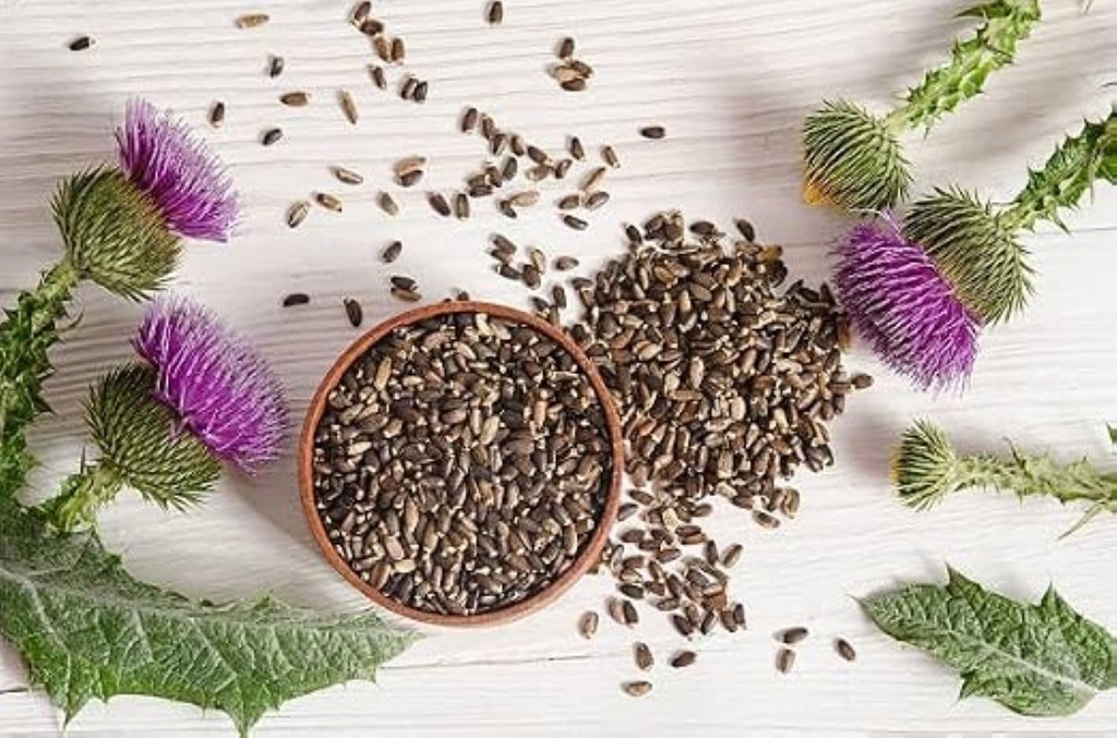 farm-to-home-milk-thistle-powder-liver-g-71owt+HayWL.jpg