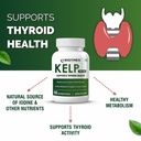 biotrex-nutraceuticals-kelp-extract-600m-715sVpCL23L.jpg
