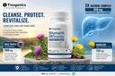 trexgenics-silymarin-plus-2x-liver-care--716BjxzJGnL.jpg