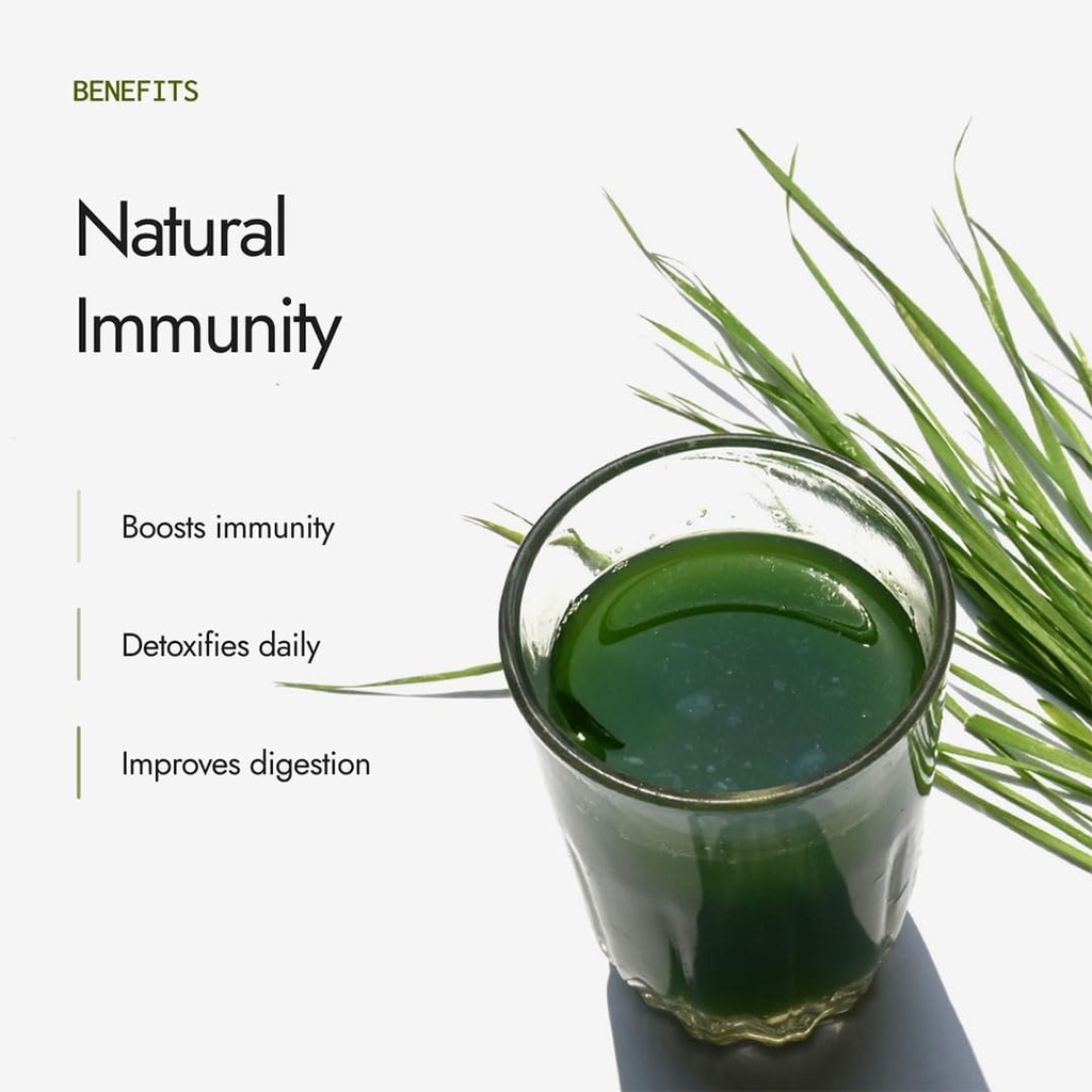 kapiva-organic-wheatgrass-powder-100g-pa-61XnI7008cL.jpg
