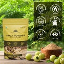 saptamveda-amla-indian-gooseberry-powder-71hhtCHrFSL.jpg