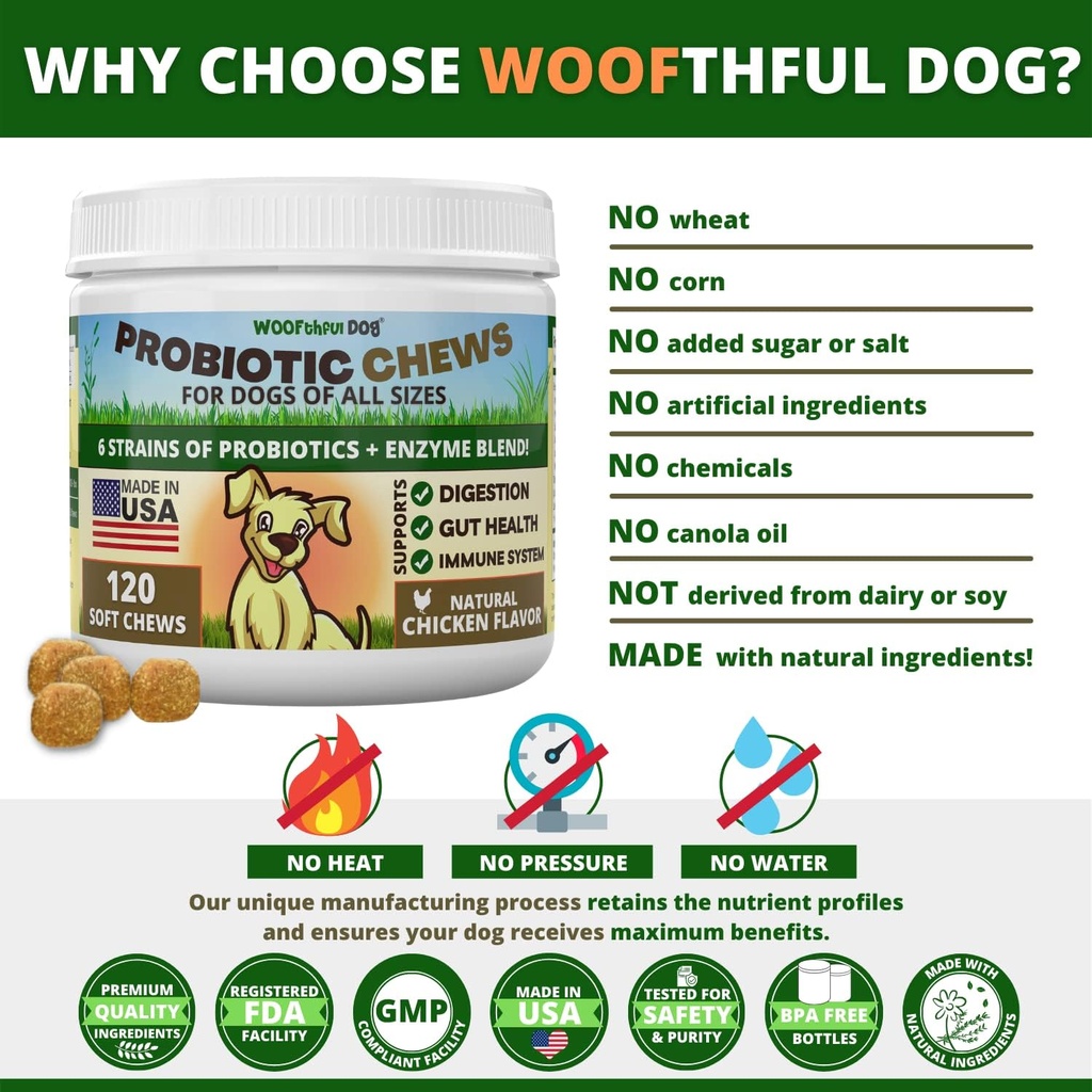 probiotics-for-dogs---digestive-health-g-6.jpg