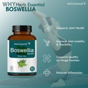 herb-essential-boswellia-tablet-500mg-60-71KRSQDJw1L.jpg