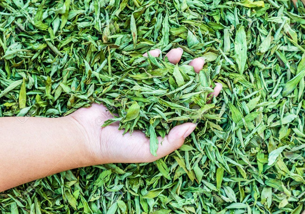 a-d-food-herbs-organic-dried-stevia-stev-81fH0CM-IOL.jpg